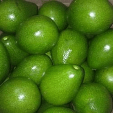 Avocado (500g)