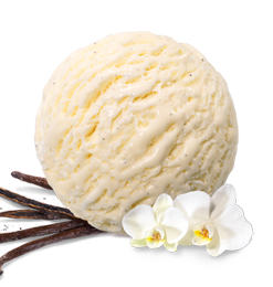 Real Vanilla ice cream